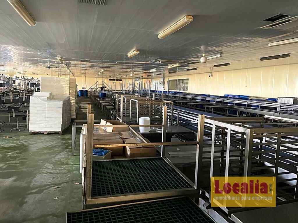 Imagen 2 de Fábrica de conservas de alimentos en Cantabria