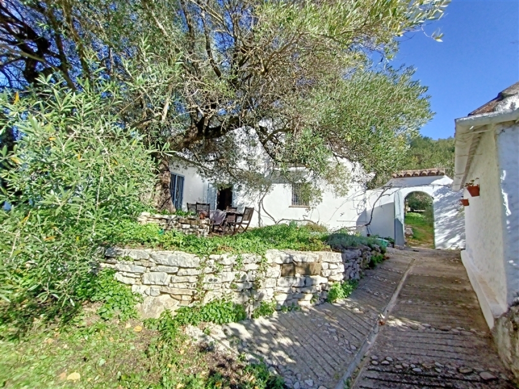 Imagen 2 de Casa de campo-Masía en Venta en Salitre Málaga