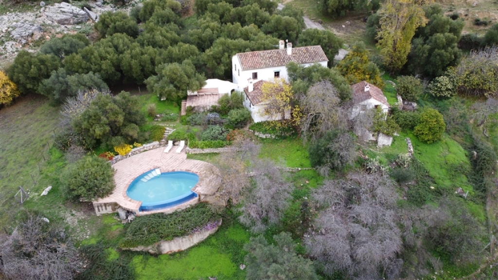Imagen 4 de Casa de campo-Masía en Venta en Salitre Málaga