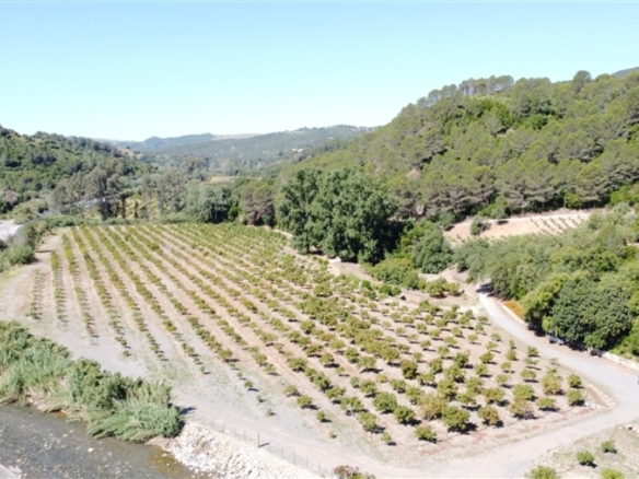 Imagen 2 de Casa de campo-Masía en Venta en Gaucín Málaga