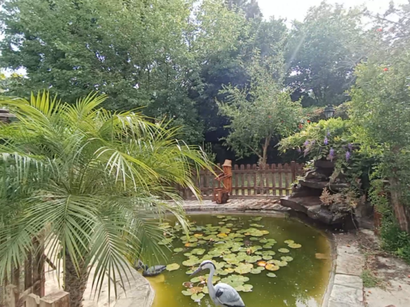 Imagen 3 de Casa de campo-Masía en Venta en Jimena De La Frontera Cádiz