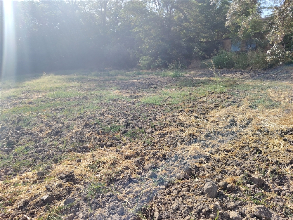 Imagen 4 de Casa de campo-Masía en Venta en Ronda Málaga