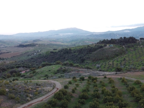 Imagen 2 de Casa de campo-Masía en Venta en Casarabonela Málaga