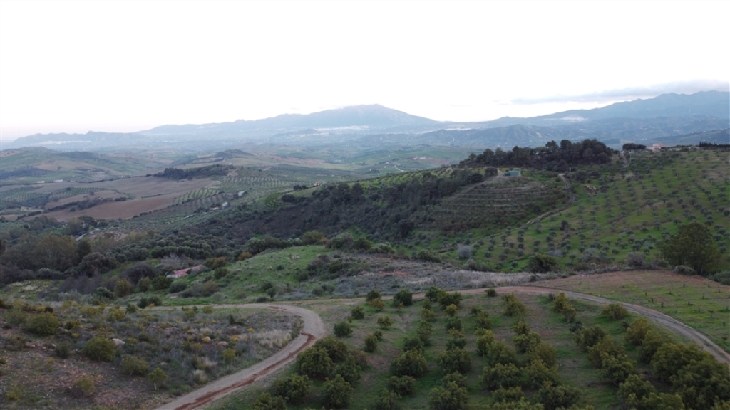 Imagen 2 de Casa de campo-Masía en Venta en Casarabonela Málaga