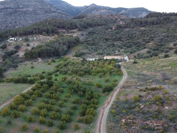 Imagen 3 de Casa de campo-Masía en Venta en Casarabonela Málaga