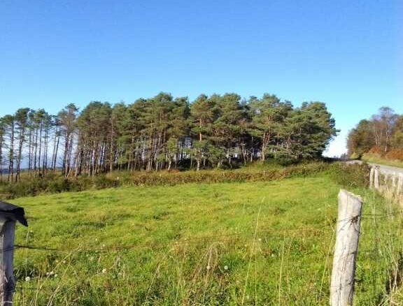 Imagen 2 de Casa-Chalet en Venta en Pontenova