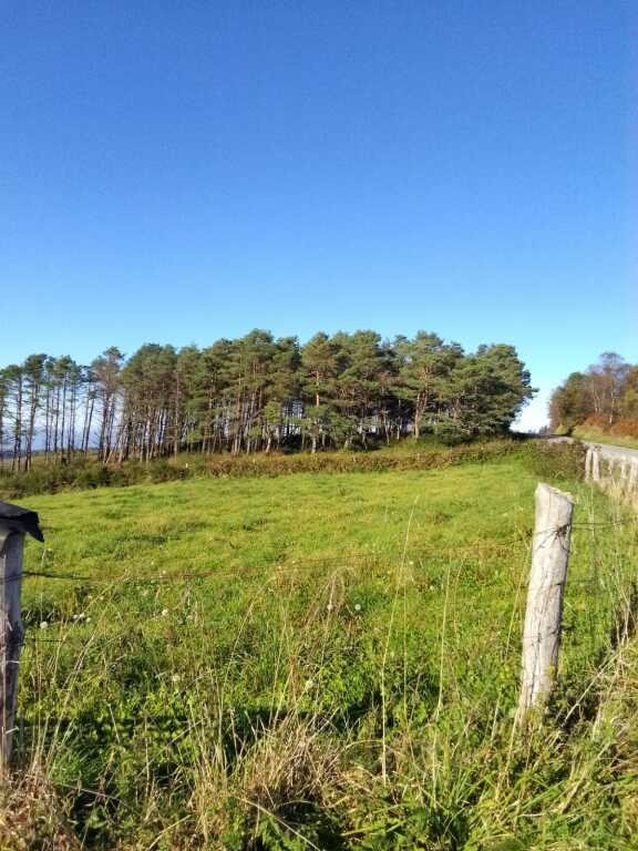 Imagen 2 de Casa-Chalet en Venta en Pontenova