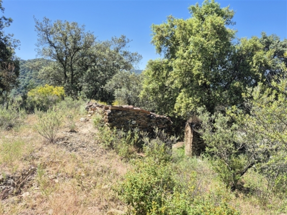 Imagen 2 de Casa de campo-Masía en Venta en Atajate Málaga