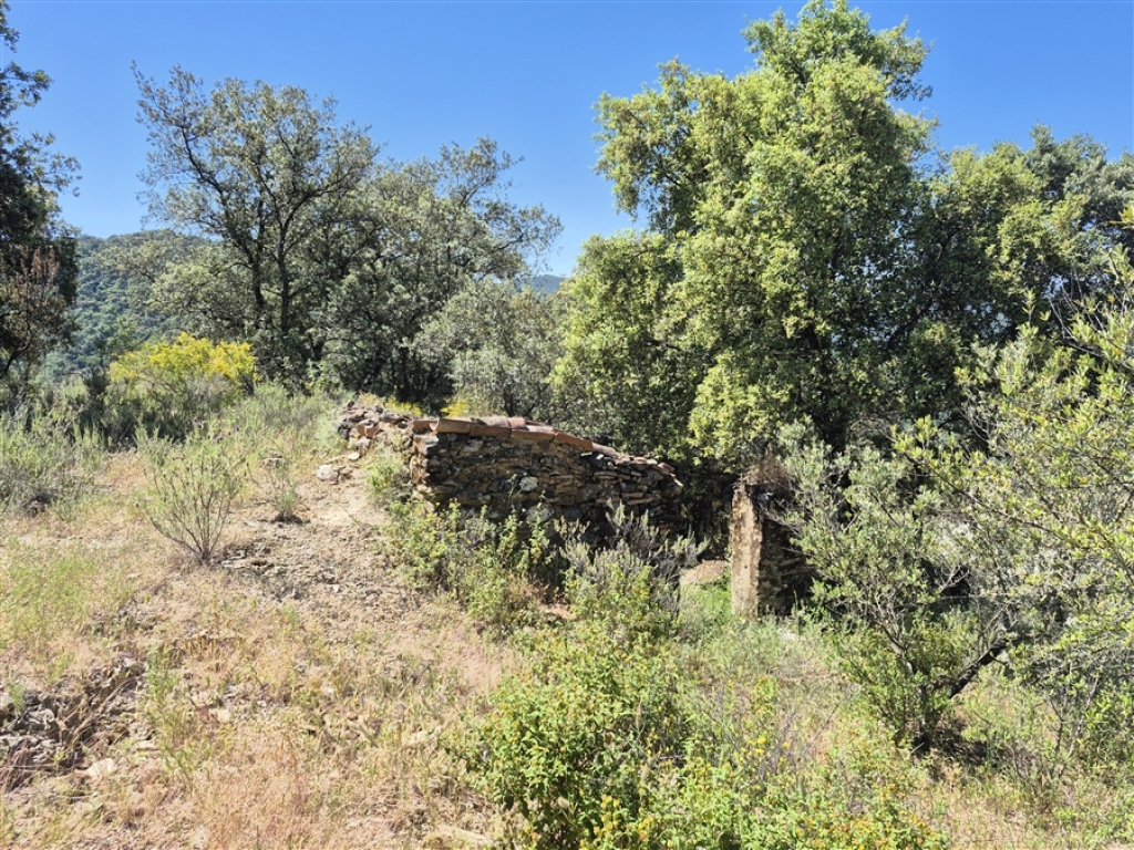 Imagen 2 de Casa de campo-Masía en Venta en Atajate Málaga