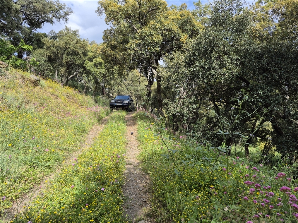 Imagen 2 de Casa de campo-Masía en Venta en Genalguacil Málaga