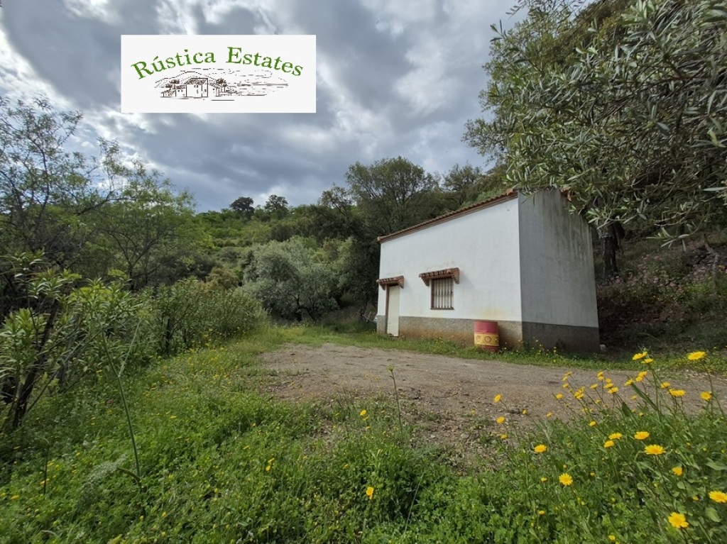 Imagen 1 de Casa de campo-Masía en Venta en Genalguacil Málaga