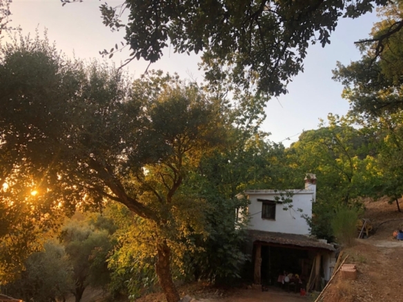 Imagen 2 de Casa de campo-Masía en Venta en Genalguacil Málaga