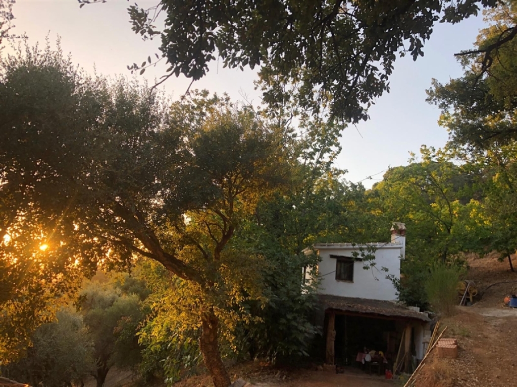 Imagen 2 de Casa de campo-Masía en Venta en Genalguacil Málaga