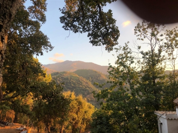 Imagen 4 de Casa de campo-Masía en Venta en Genalguacil Málaga