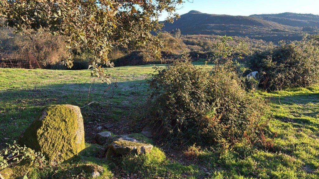 Imagen 1 de Terreno Edificable