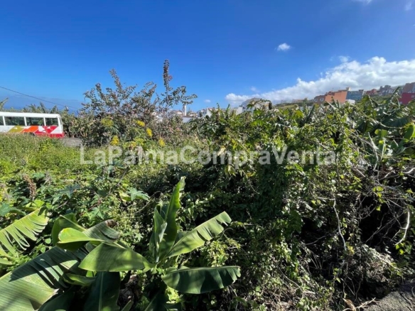 Imagen 3 de Suelo urbanizable en Venta en San Andres Y Sauces Santa Cruz de Tenerife