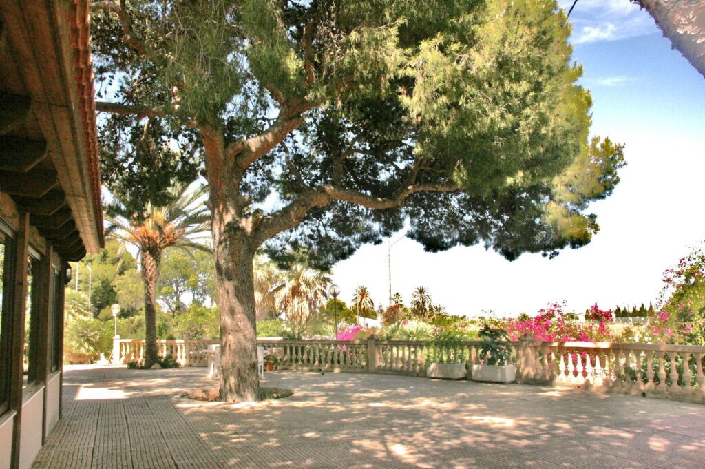 Imagen 3 de Casa-Chalet en Venta en Mutxamel Alicante