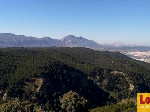 Imagen 1 de Gran suelo rústico en Antequera