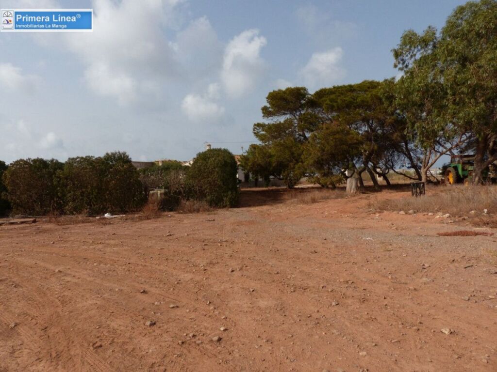 Imagen 2 de Venta de finca agrícola en Los Belones