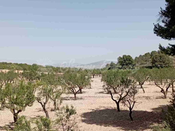 Imagen 2 de Suelo rústico en Venta en Jumilla Murcia