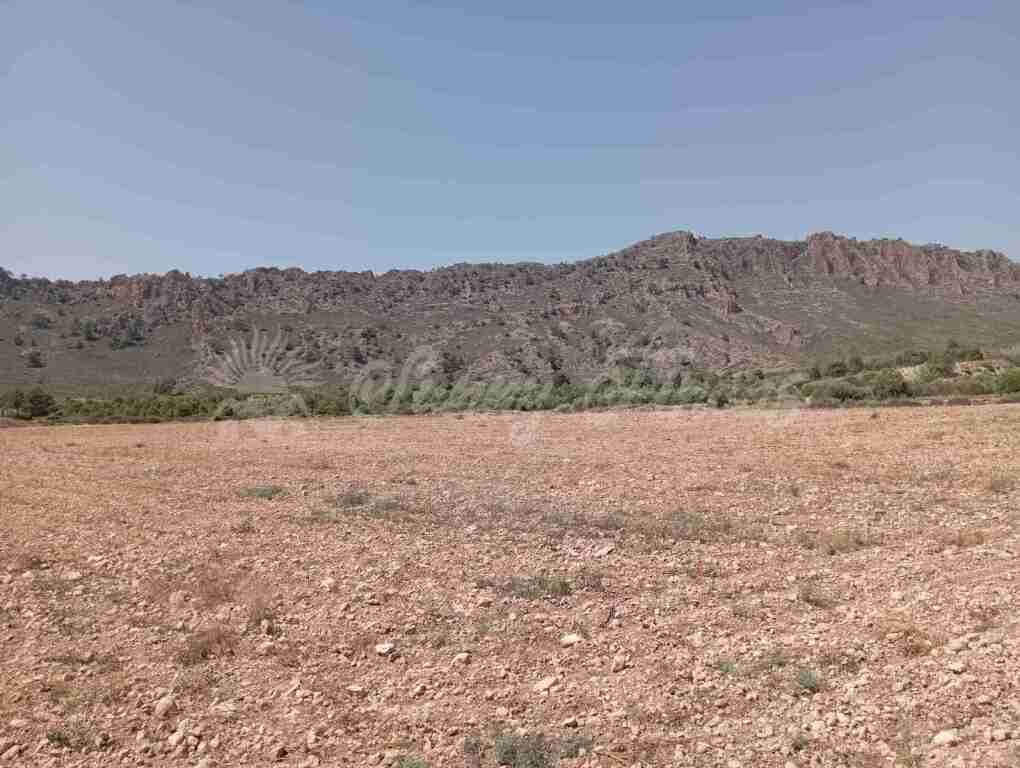 Imagen 2 de Suelo rústico en Venta en Yecla Murcia