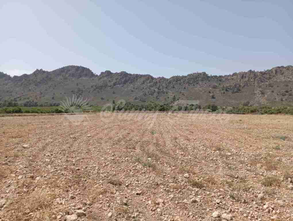 Imagen 3 de Suelo rústico en Venta en Yecla Murcia