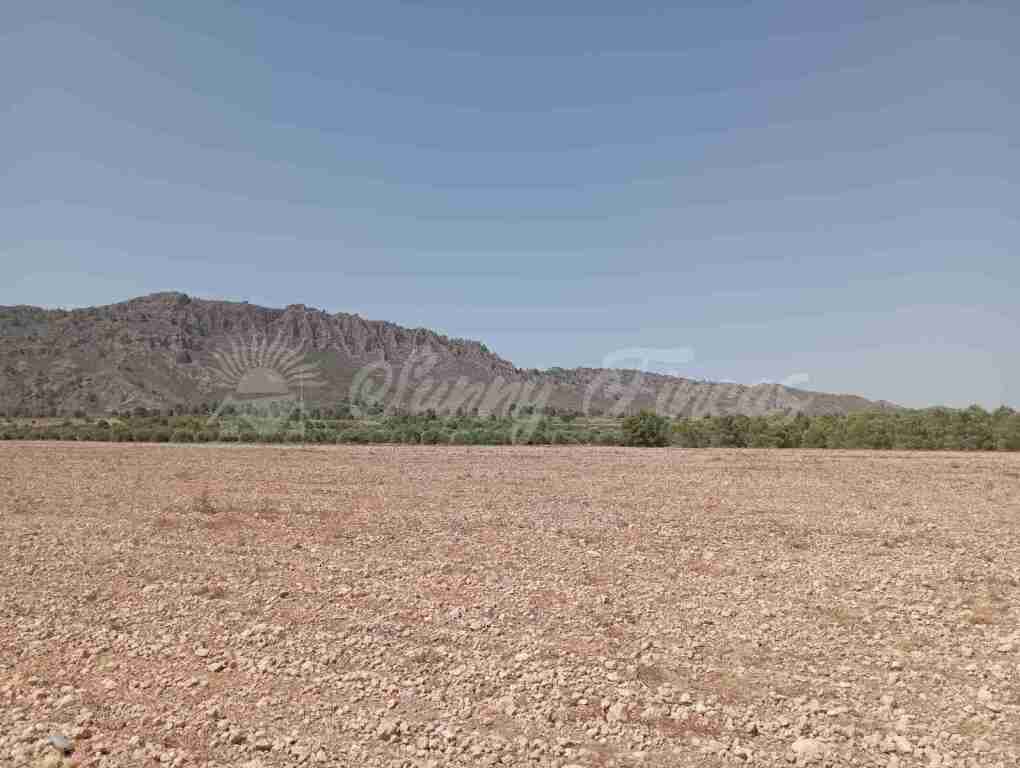 Imagen 4 de Suelo rústico en Venta en Yecla Murcia