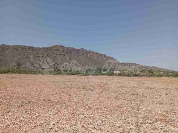 Imagen 1 de Suelo rústico en Venta en Yecla Murcia