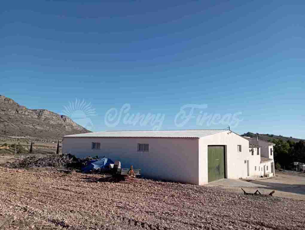 Imagen 3 de Casa de campo-Masía en Venta en Yecla Murcia