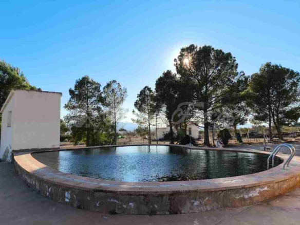 Imagen 2 de Casa de campo-Masía en Venta en Yecla Murcia