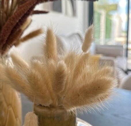 Imagen 4 de Complejo Residencial de Nueva Construcción en San Fulgencio