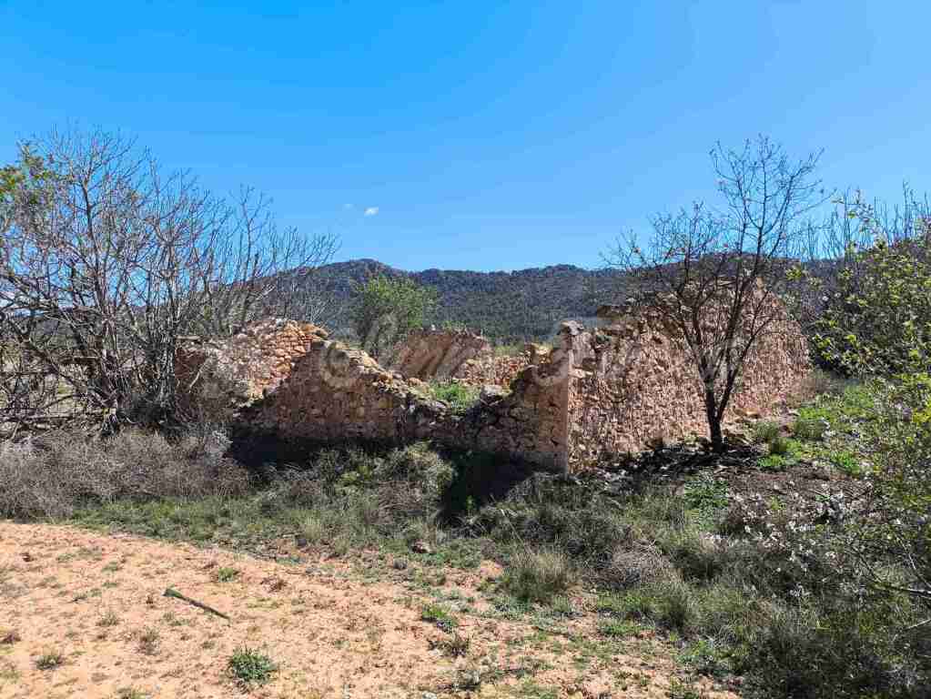 Imagen 3 de Suelo rústico en Venta en Yecla Murcia