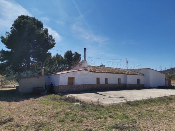 Imagen 3 de Casa de campo-Masía en Venta en Yecla Murcia