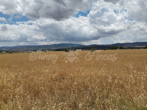 Imagen 2 de Suelo rústico en Venta en Yecla Murcia