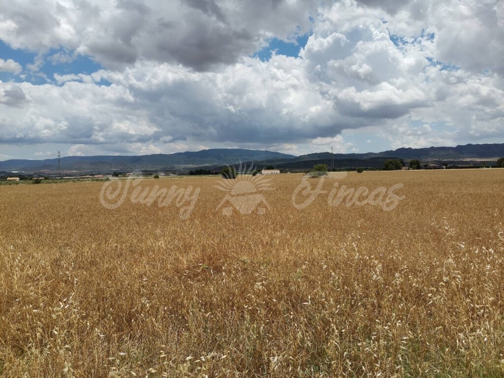 Imagen 2 de Suelo rústico en Venta en Yecla Murcia