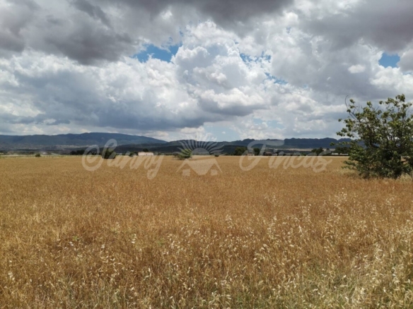 Imagen 3 de Suelo rústico en Venta en Yecla Murcia