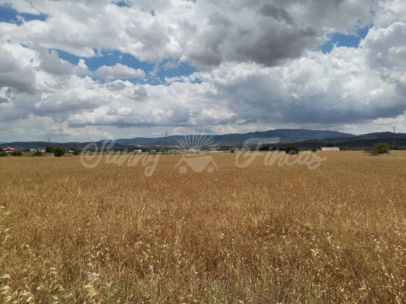 Imagen 4 de Suelo rústico en Venta en Yecla Murcia