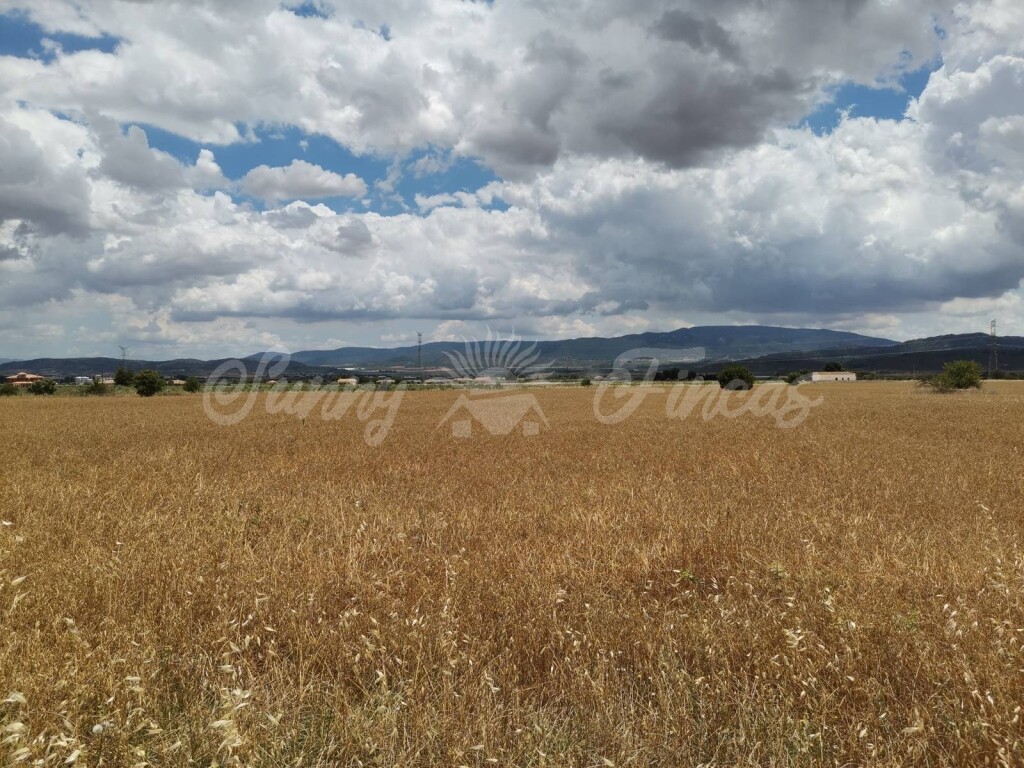 Imagen 4 de Suelo rústico en Venta en Yecla Murcia