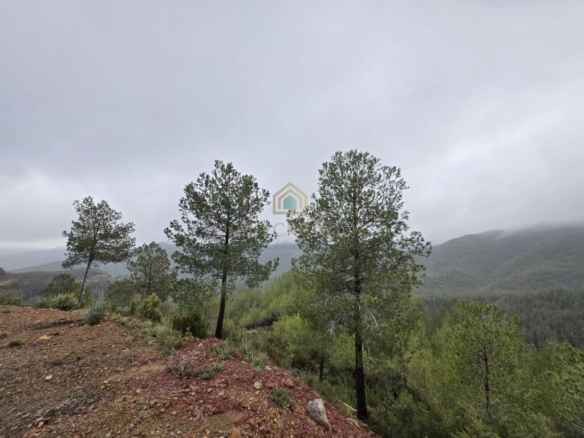 Imagen 2 de Casa-Chalet en Venta en Torralba Del Pinar Castellón