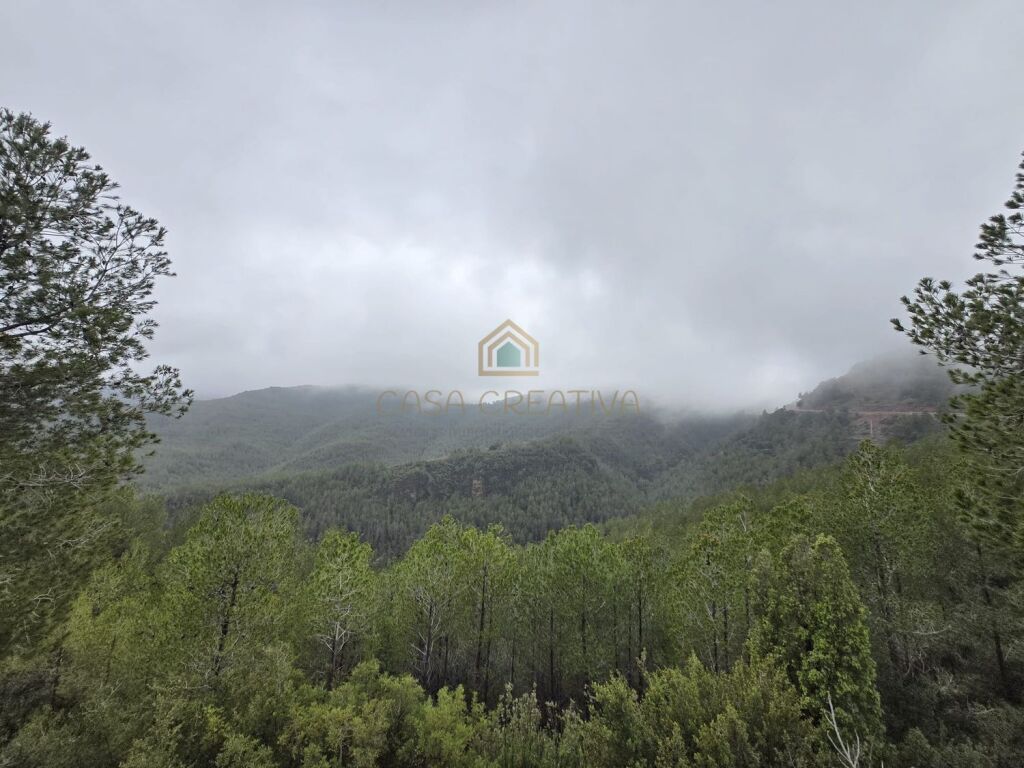 Imagen 1 de Casa-Chalet en Venta en Torralba Del Pinar Castellón