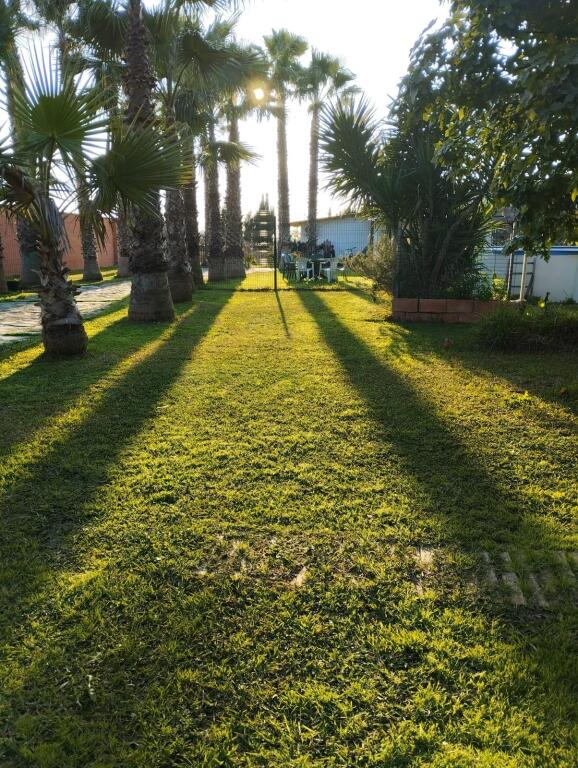 Imagen 1 de Gran Parcela con casa en urbanización los Pinos de La Algabarra!!!
