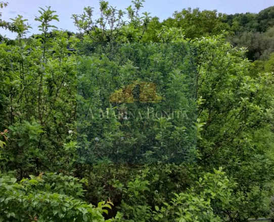 Imagen 2 de Casa-Chalet en Venta en Baralla (Casco Urbano) Lugo