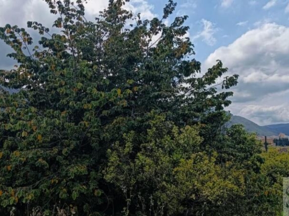 Imagen 4 de Suelo urbanizable en Venta en Alicante Alicante