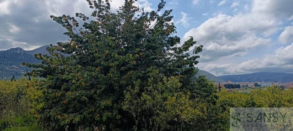 Imagen 4 de Suelo urbanizable en Venta en Alicante Alicante