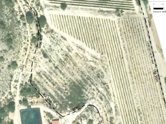 Imagen 2 de Suelo rústico en Venta en Novelda Alicante