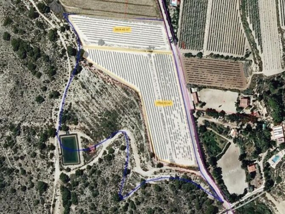 Imagen 3 de Suelo rústico en Venta en Novelda Alicante