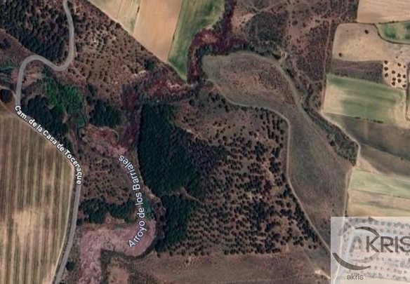 Imagen 2 de TERRENO RUSTICO EN URB. TOCECANTOS DE CEDILLO **PASAR OFERTA**