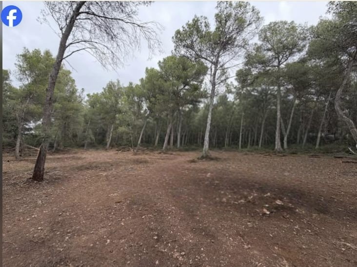 Imagen 2 de Suelo rústico en Venta en Pla De Santa Maria