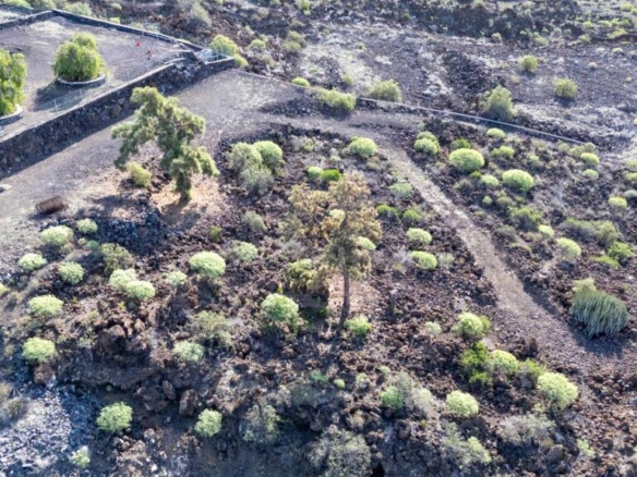 Imagen 4 de Terreno rústico en Chigora (Chío) - 11.169 m2