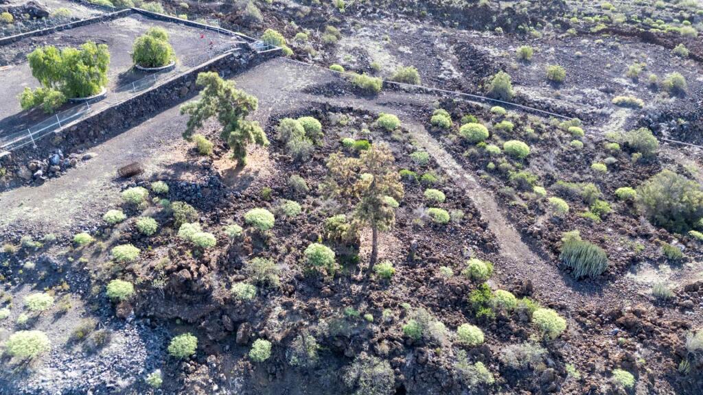 Imagen 4 de Terreno rústico en Chigora (Chío) - 11.169 m2